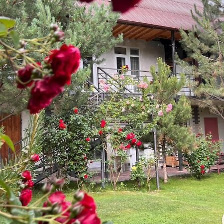 Podsolnukhi Guest House Cholpon-Ata Kültér fotó