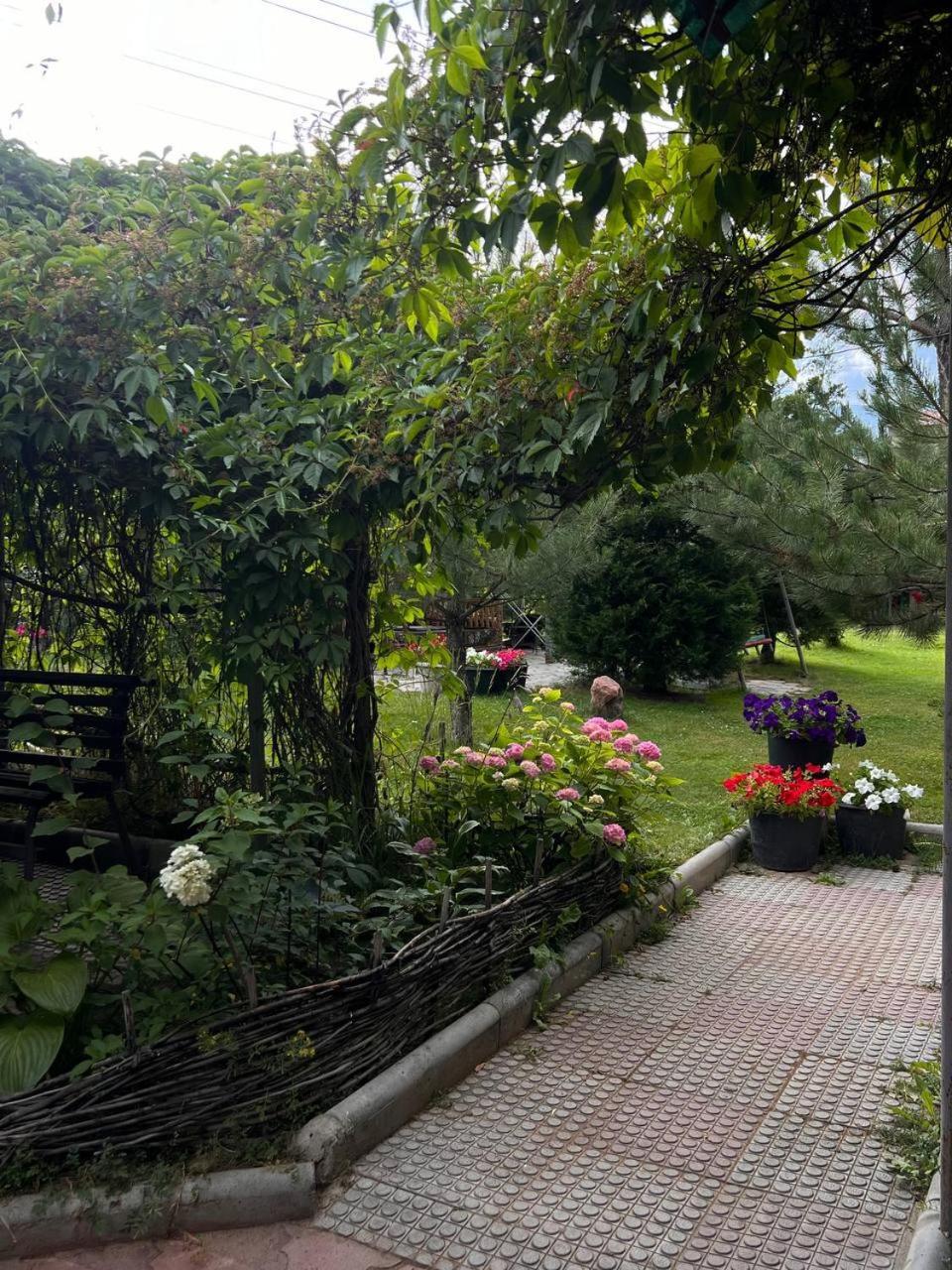 Podsolnukhi Guest House Cholpon-Ata Kültér fotó