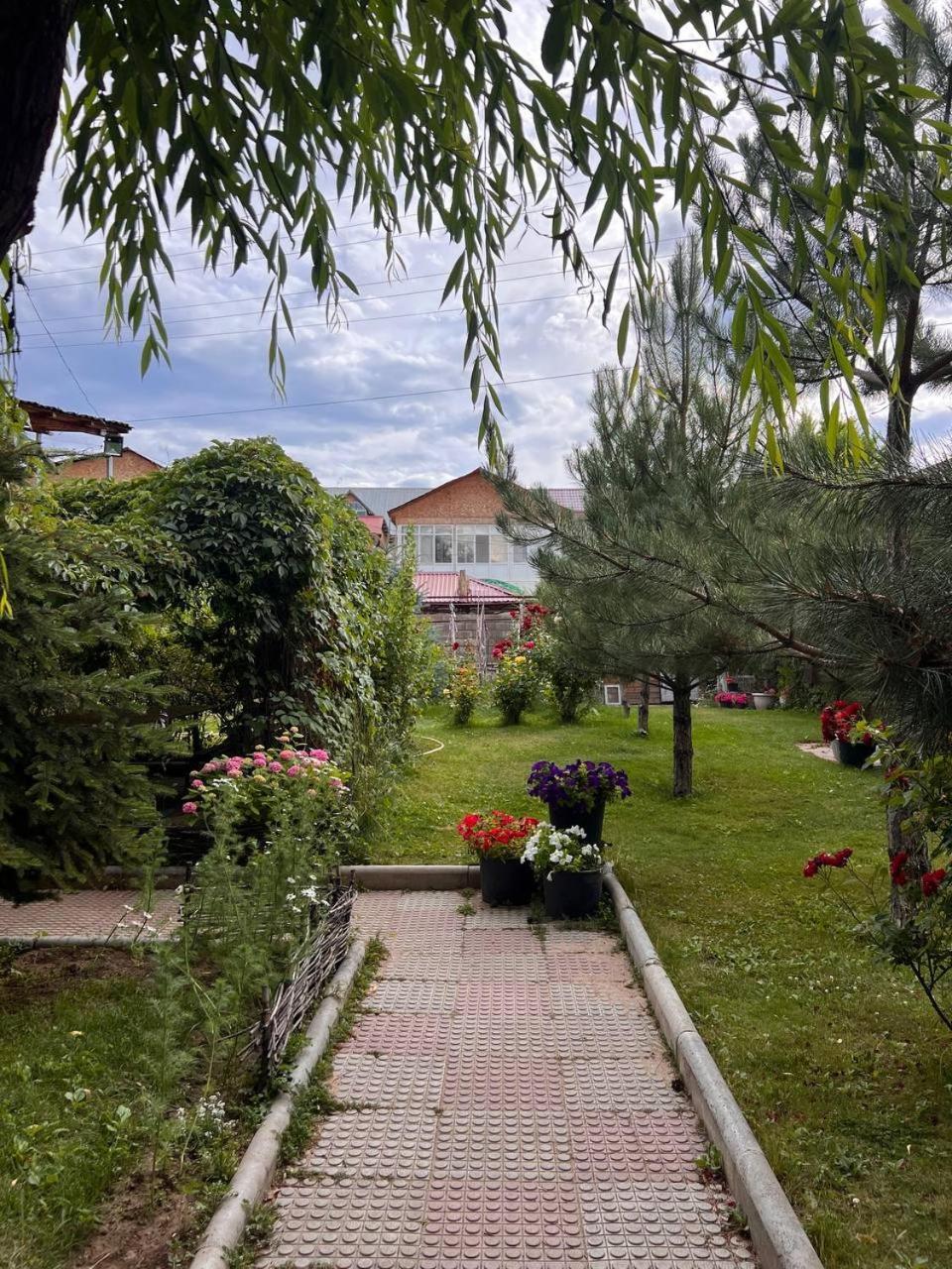 Podsolnukhi Guest House Cholpon-Ata Kültér fotó