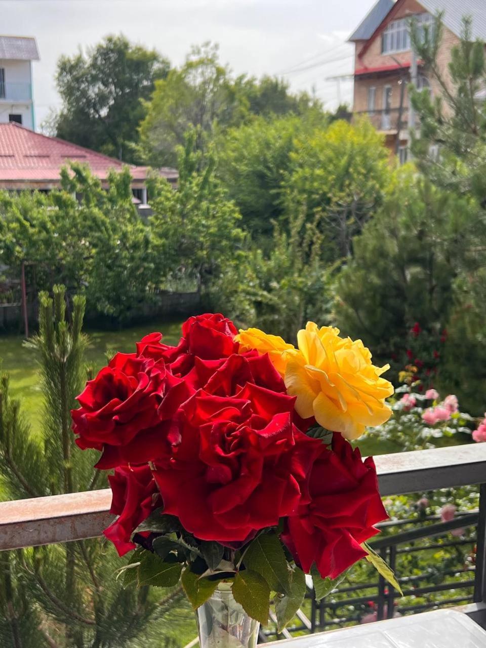 Podsolnukhi Guest House Cholpon-Ata Kültér fotó