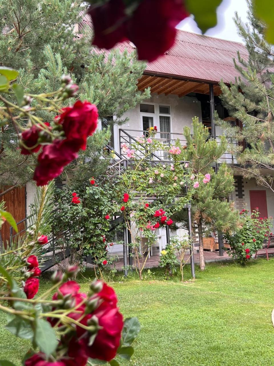 Podsolnukhi Guest House Cholpon-Ata Kültér fotó